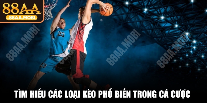 Tìm hiểu các loại kèo phổ biến trong cá cược bóng rổ là gì