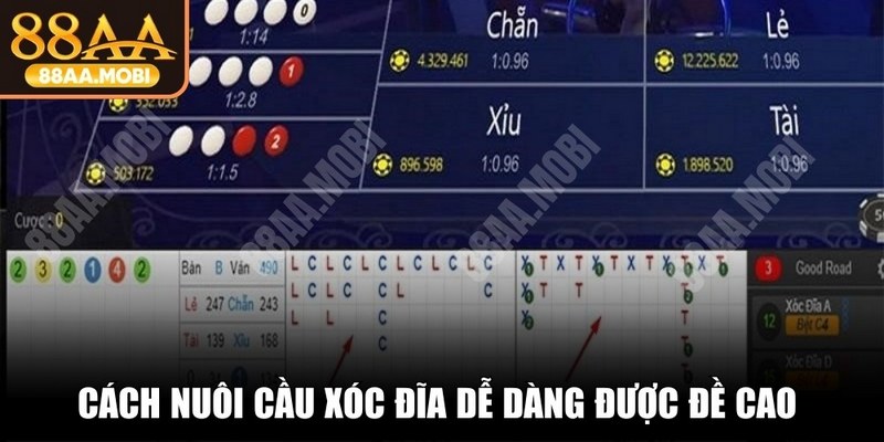 Cách nuôi cầu Xóc Đĩa dễ dàng được đề cao về tính hiệu quả