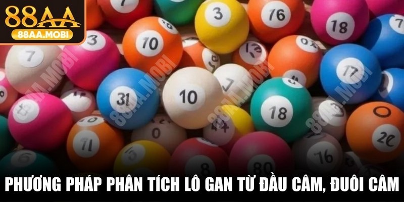 Phương pháp phân tích lô gan từ đầu câm, đuôi câm